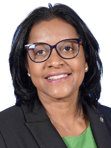 Foto de Gisela Simona (UNIÃO/MT).